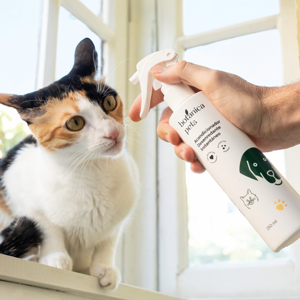 Muda en gatos: Consejos para su rutina