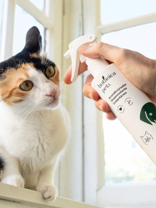 Muda en gatos: Consejos para su rutina