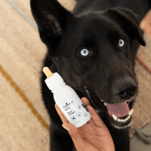 Sérum: cuidado extra para tu piel