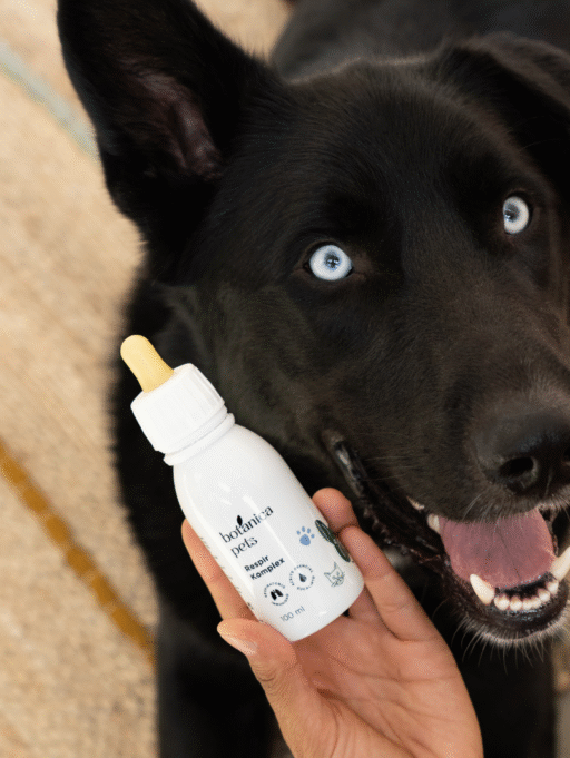 Respir Komplex: Salud respiratoria