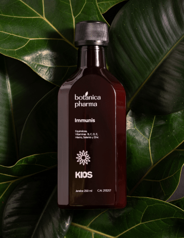 feel healthy inmunidad energía defensas