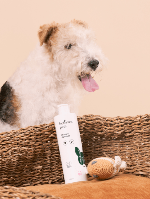 Cómo mejorar la salud de la piel de tu mascota