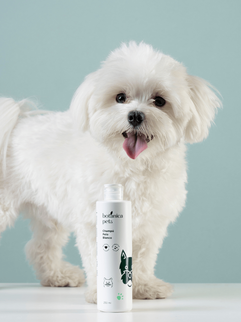 Botanicapets Champú Pelo Blanco 250ml