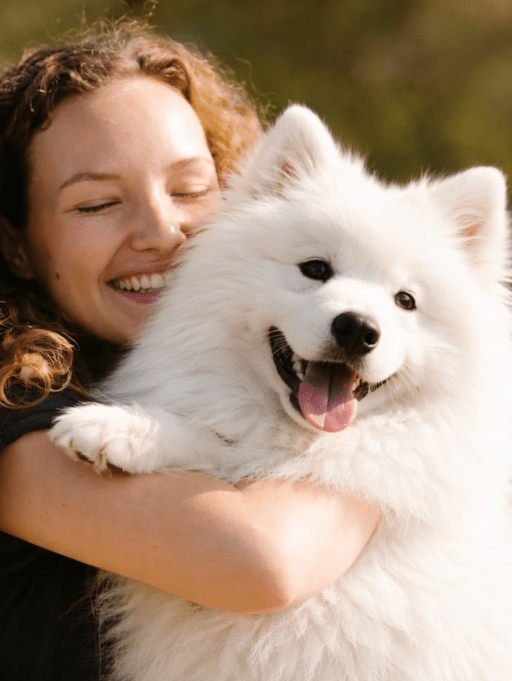 Cómo prevenir manchas amarillas o rojizas en tu mascota