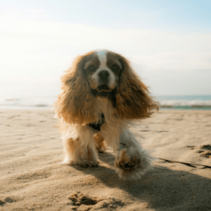 The Good Routines: Sun & Glow